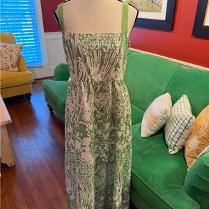 Tuckernuck Green and White Maxi Dress